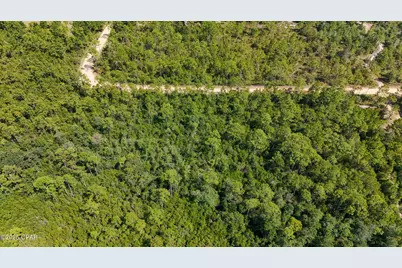 19809 Dickerson Road, Fountain, FL 32438 - Photo 10