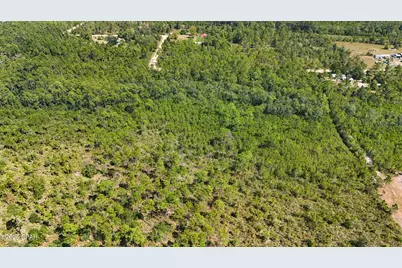 19809 Dickerson Road, Fountain, FL 32438 - Photo 8