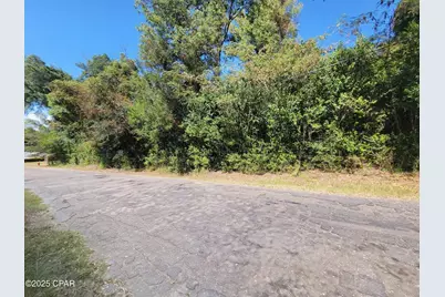 00 River Road, Marianna, FL 32446 - Photo 2