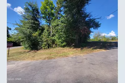 00 River Road, Marianna, FL 32446 - Photo 4