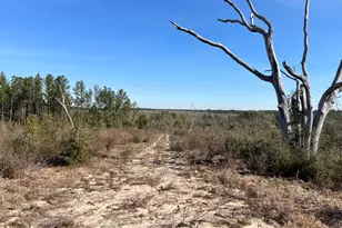 0 James Luther St, Ponce de Leon, FL 32455 - Photo 1