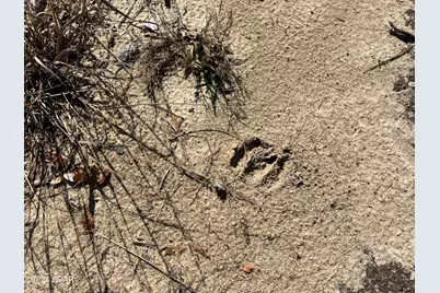 0 James Luther Street, Ponce de Leon, FL 32455 - Photo 10