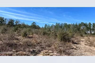 0 James Luther Street, Ponce de Leon, FL 32455 - Photo 4