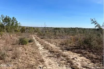 0 James Luther Street, Ponce de Leon, FL 32455 - Photo 6