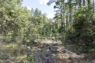 3651 Union Hill Rd, Bonifay, FL 32425 - Photo 10