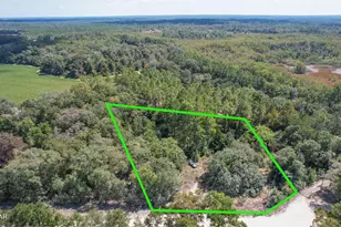 3651 Union Hill Rd, Bonifay, FL 32425 - Photo 2