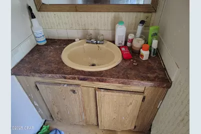 4529 Riverbend Road, Marianna, FL 32448 - Photo 6