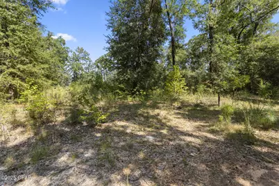 3126 Magnolia Drive, Chipley, FL 32428 - Photo 4