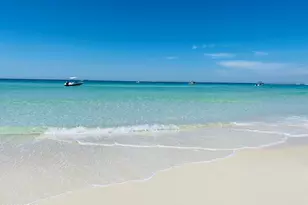 8686 Conch Shell Ct, Panama City Beach, FL 32413 - Photo 100