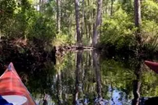 22942 Ann Miller Rd, Panama City Beach, FL 32413 - Photo 14