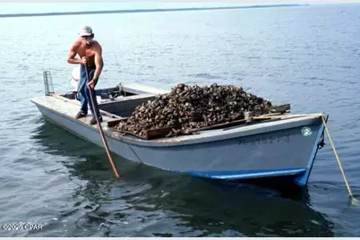 20 4th Street, Apalachicola, FL 32320 - Photo 50