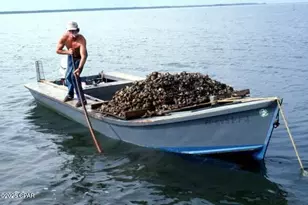 20 4th St, Apalachicola, FL 32320 - Photo 50