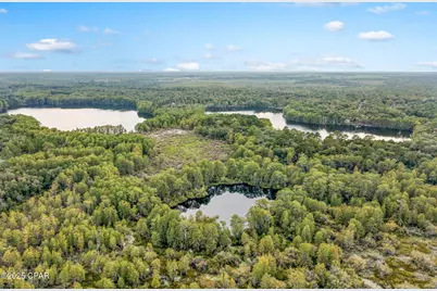 2730 Mosquito Road, Chipley, FL 32428 - Photo 70