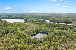 2730 Mosquito Rd, Chipley, FL 32428 - Photo 70