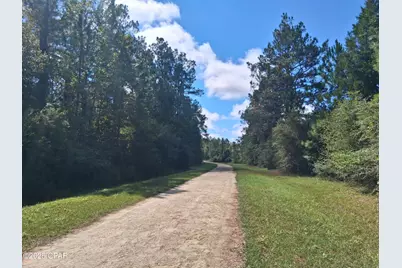 Lot 37 Alder Lane, Westville, FL 32464 - Photo 4