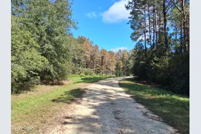 Lot 37 Alder Lane, Westville, FL 32464 - Photo 2