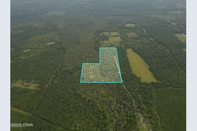 0 Non Road Access Road, Marianna, FL 32448 - Photo 4