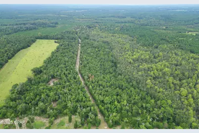 0 Non Road Access Road, Marianna, FL 32448 - Photo 8