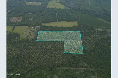 0 Non Road Access Road, Marianna, FL 32448 - Photo 2