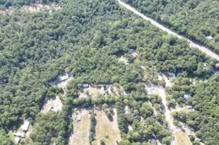 16069 Bob Ellis Rd Rd, Tallahassee, FL 32310 - Photo 40