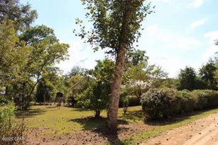 15003 SE Bass Dr, Blountstown, FL 32424 - Photo 74