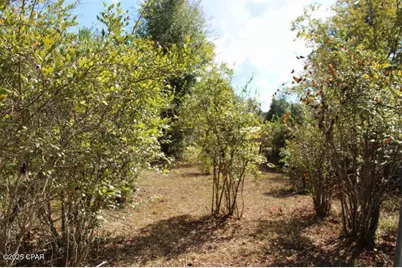 15003 SE Bass Drive, Blountstown, FL 32424 - Photo 46