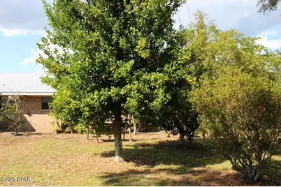 15003 SE Bass Drive, Blountstown, FL 32424 - Photo 72