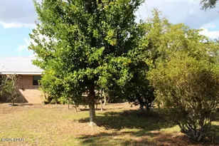 15003 SE Bass Dr, Blountstown, FL 32424 - Photo 72