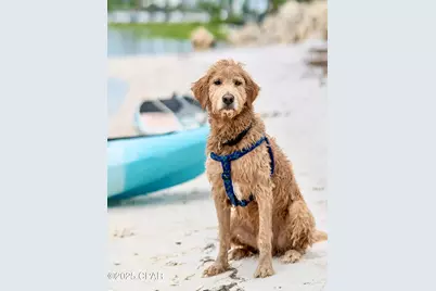 Lot 32 Las Palamas Lane, Port Saint Joe, FL 32456 - Photo 28