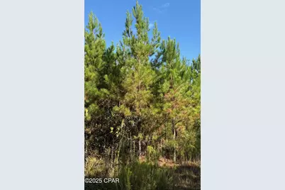 0 Hwy 2, Graceville, FL 32440 - Photo 2