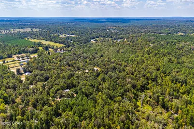 Tbd2 Syracuse Lane, Marianna, FL 32446 - Photo 10