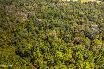 Tbd2 Syracuse Lane, Marianna, FL 32446 - Photo 38