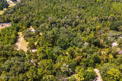 Tbd2 Syracuse Lane, Marianna, FL 32446 - Photo 4