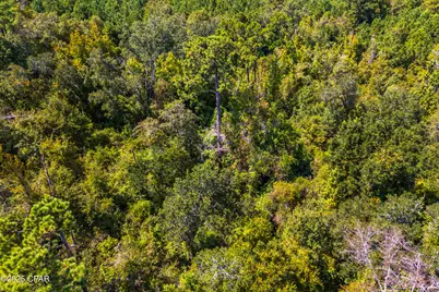 Tbd2 Syracuse Lane, Marianna, FL 32446 - Photo 6