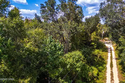 Tbd2 Syracuse Lane, Marianna, FL 32446 - Photo 8