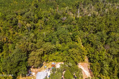 Tbd2 Syracuse Lane, Marianna, FL 32446 - Photo 12