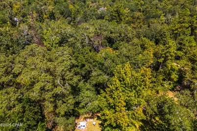 Tbd2 Syracuse Lane, Marianna, FL 32446 - Photo 52