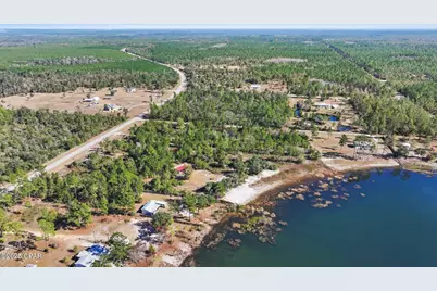 000 Cr-274, Altha, FL 32421 - Photo 6