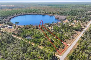 000 Cr-274, Altha, FL 32421 - Photo 1