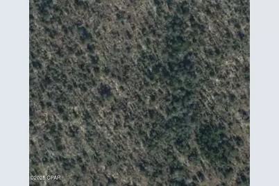 00 Tbd Tipaquan Street, Marianna, FL 32448 - Photo 2