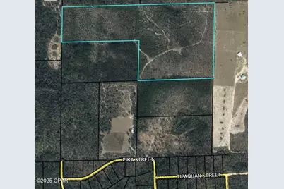 00 Tbd Tipaquan Street, Marianna, FL 32448 - Photo 1