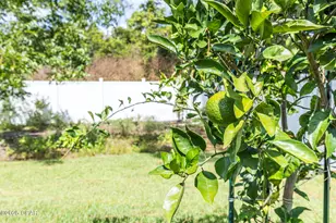 240 Oxford Ave, Panama City Beach, FL 32413 - Photo 34