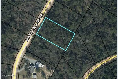 0 Monogahela Ave., Alford, FL 32420 - Photo 1