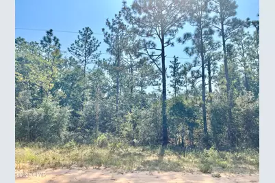 0 Monogahela Ave., Alford, FL 32420 - Photo 2