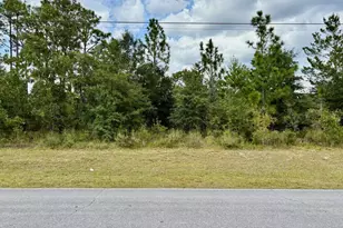 0000 Elkcam Blvd, Chipley, FL 32428 - Photo 1