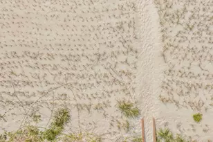 1001 Hwy 98, Mexico Beach, FL 32410 - Photo 48