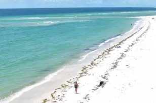 1001 Hwy 98, Mexico Beach, FL 32410 - Photo 52