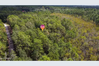 2724 Muir Lane, Bonifay, FL 32425 - Photo 8