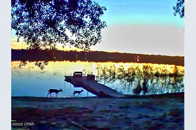 4505 Leisure Lakes Drive, Chipley, FL 32428 - Photo 86