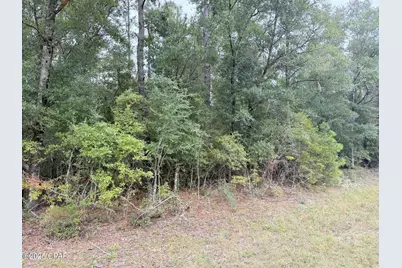 Xxx Shell Landing Road, Vernon, FL 32462 - Photo 2